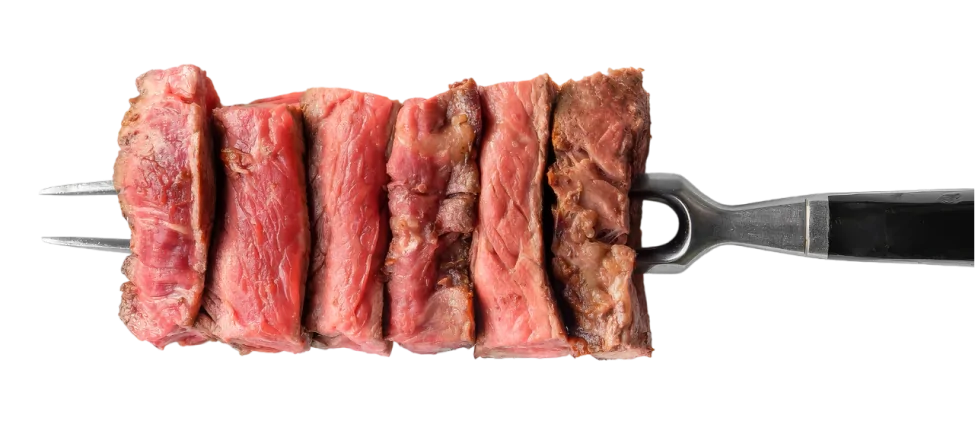 Meat on a fork